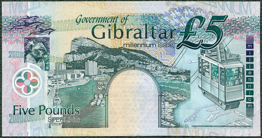 GIP5_00R.jpg