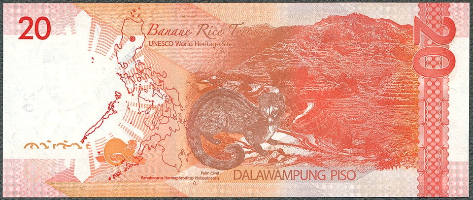 PPP20_16R.jpg