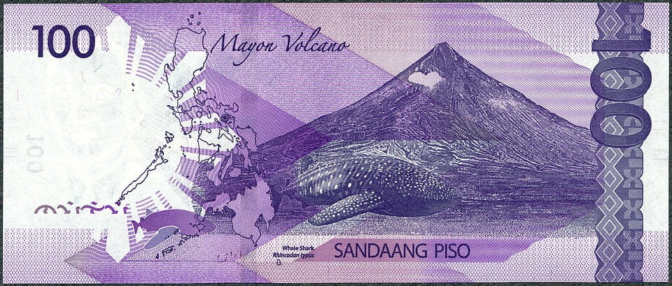 PPP100_20R.jpg