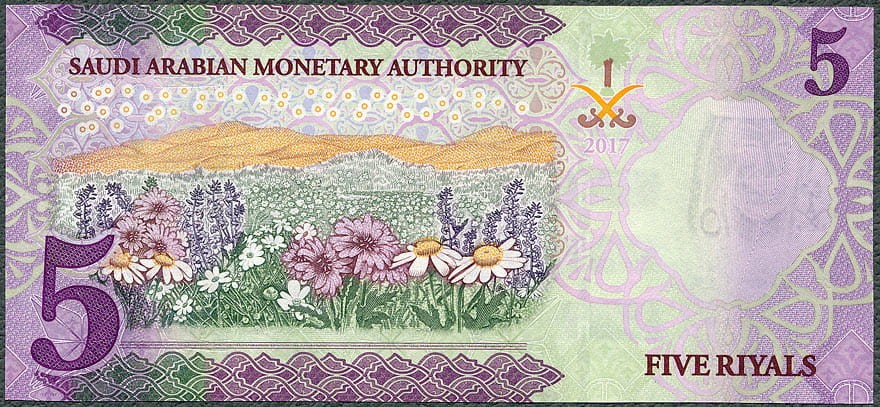 SAR5_17R.jpg