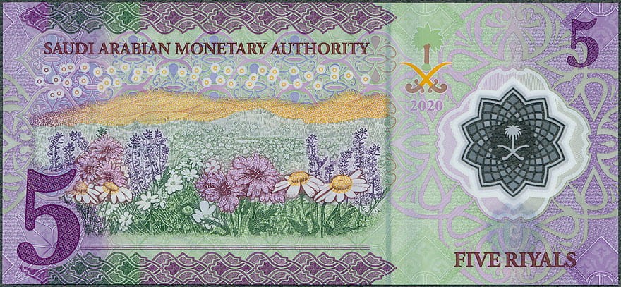 SAR5_20R.jpg