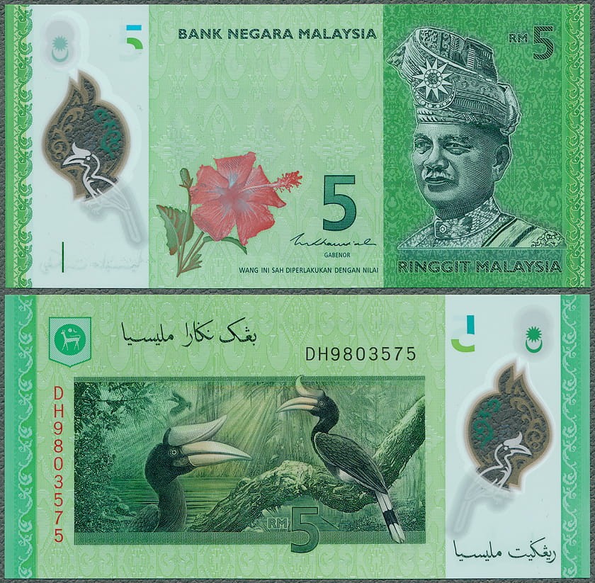 MYR5_18.jpg