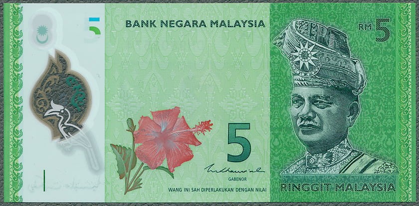 MYR5_18A.jpg