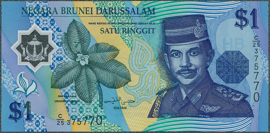 BRU1_96A.jpg