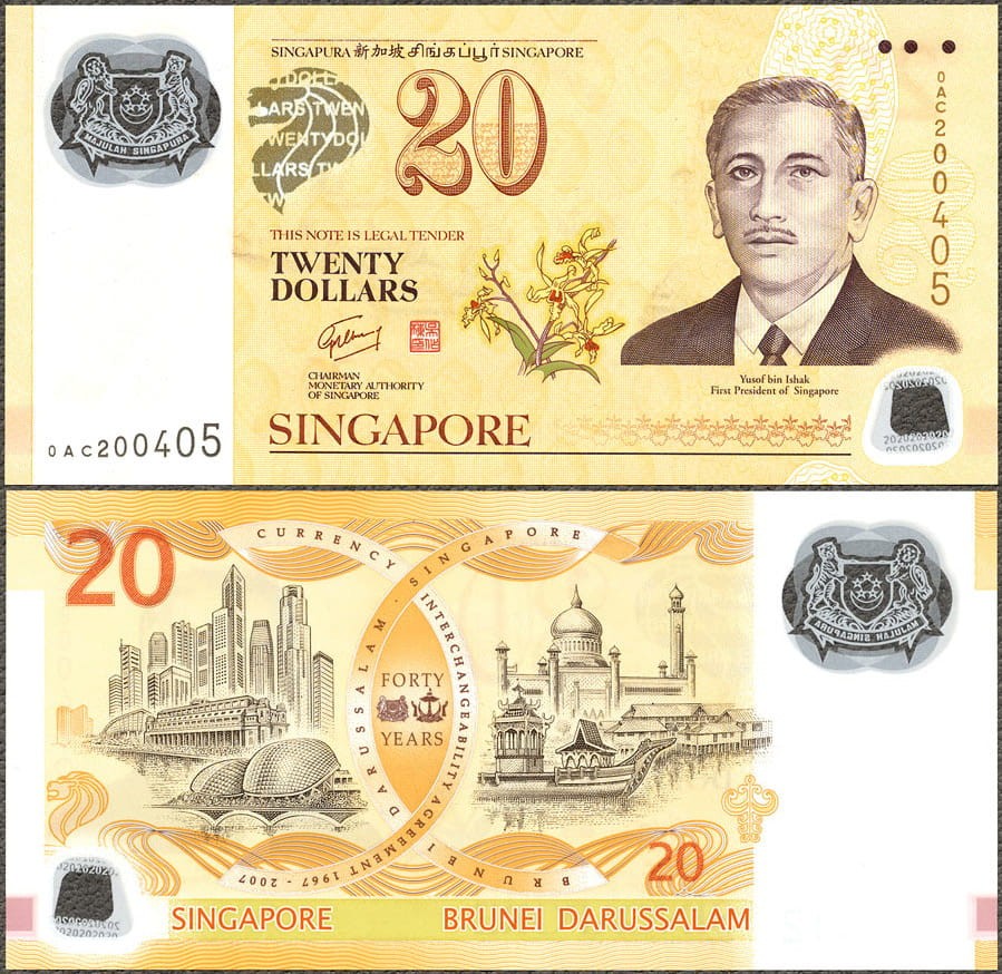 SGD20_07.jpg