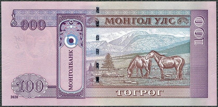 MNT100_20R.jpg