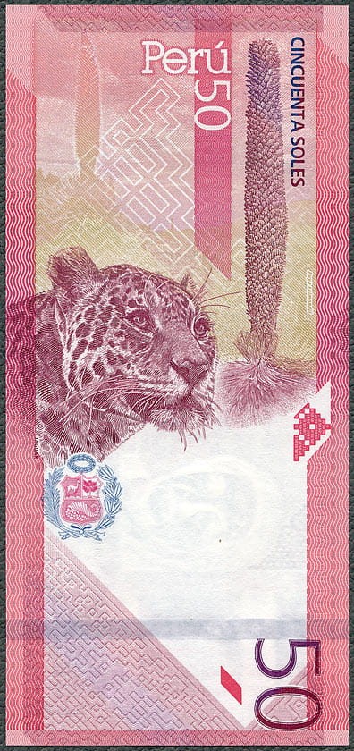 PES50_19R.jpg