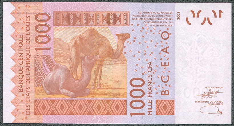 CFA1000_23AR.jpg