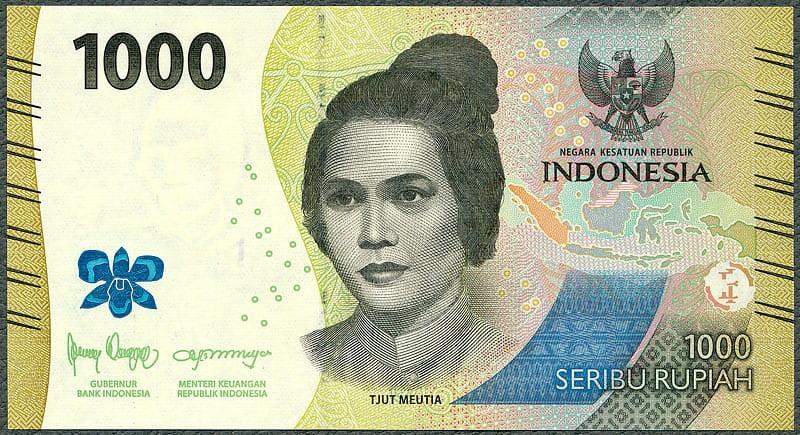 IDR1000_22A.jpg