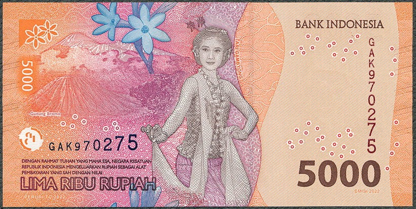IDR5000_22R.jpg