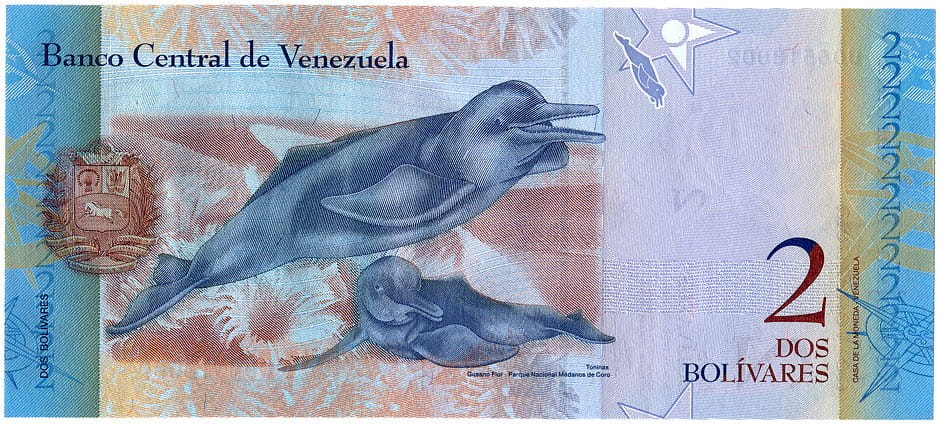 VEB2_13R.jpg