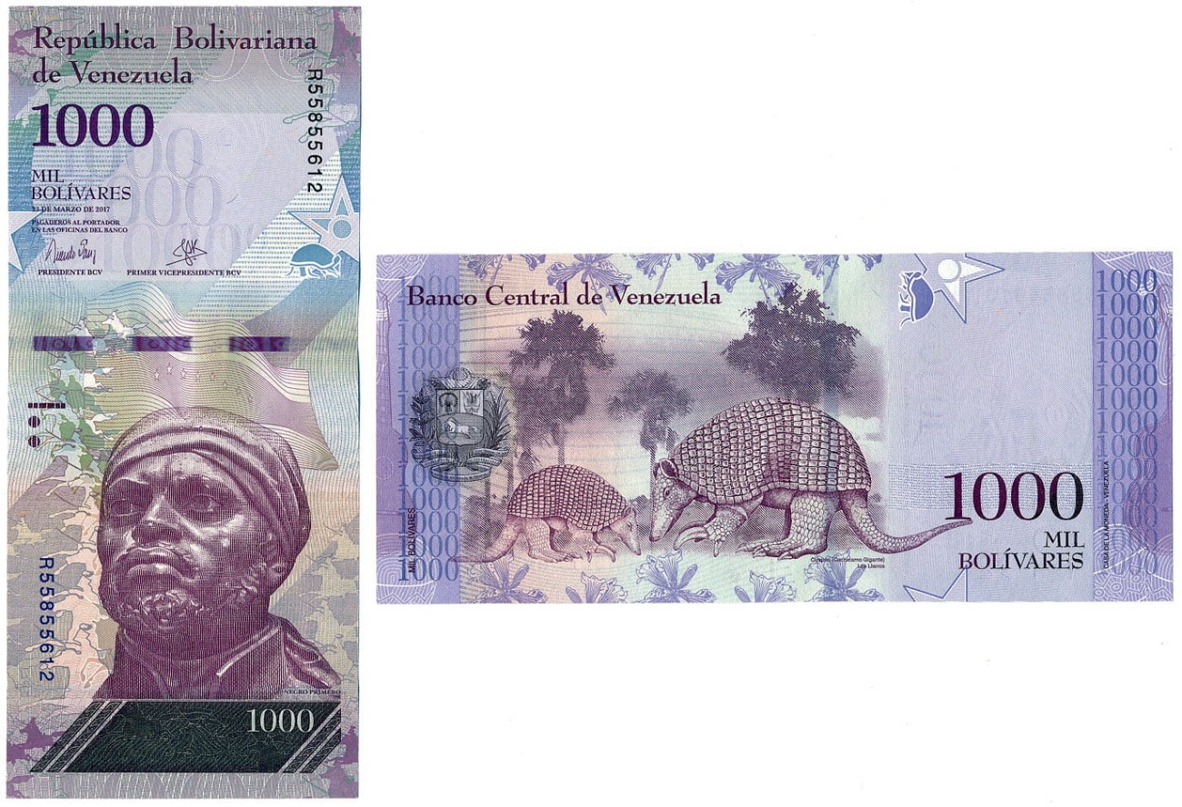 VEB1000_17.jpg