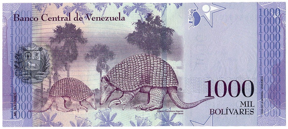 VEB1000_17R.jpg