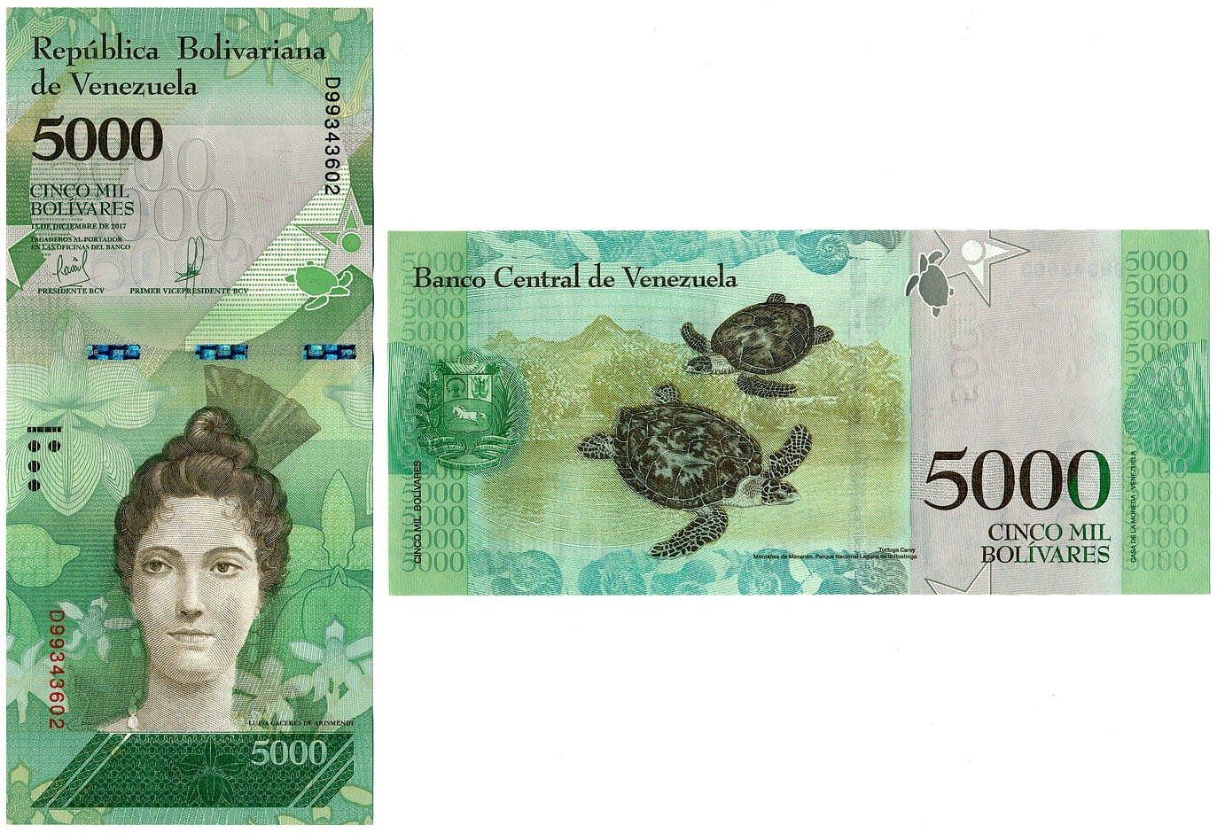 VEB5000_17.jpg