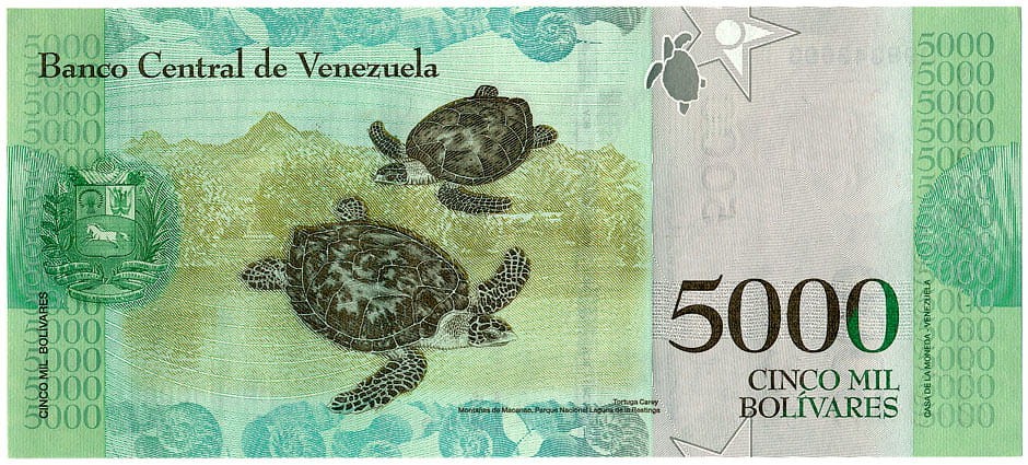 VEB5000_17R.jpg
