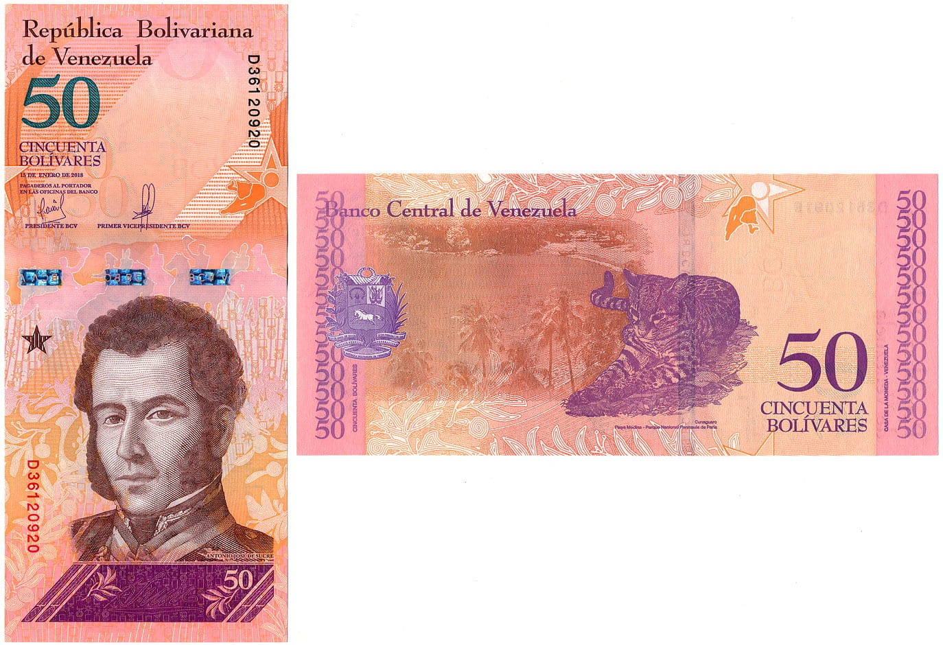 VEB50_18.jpg