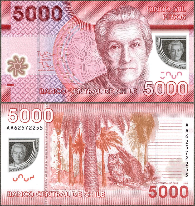 CHP5000_16.jpg