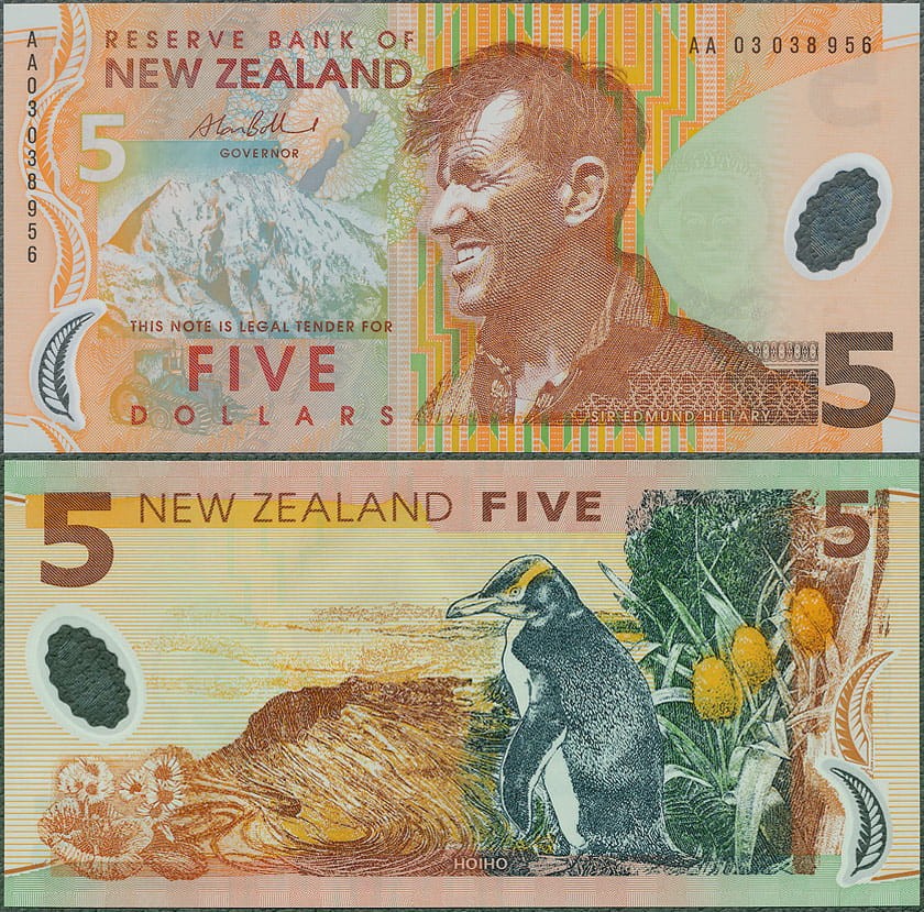 NZD5_03.jpg