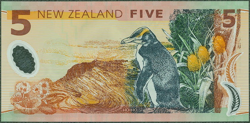 NZD5_14R.jpg