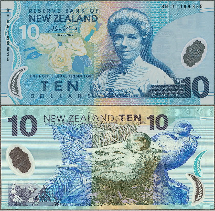 NZD10_05.jpg