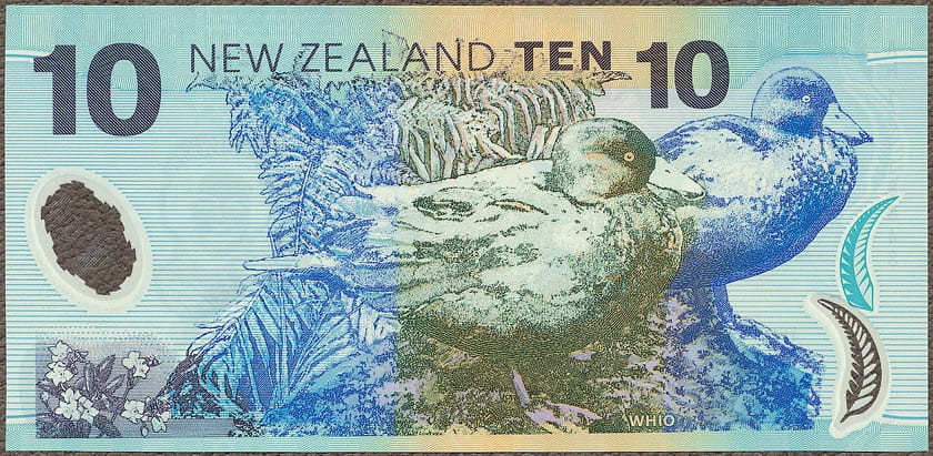 NZD10_13R.jpg