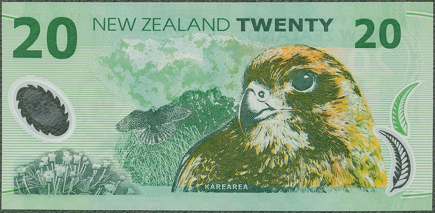 NZD20_14R.jpg
