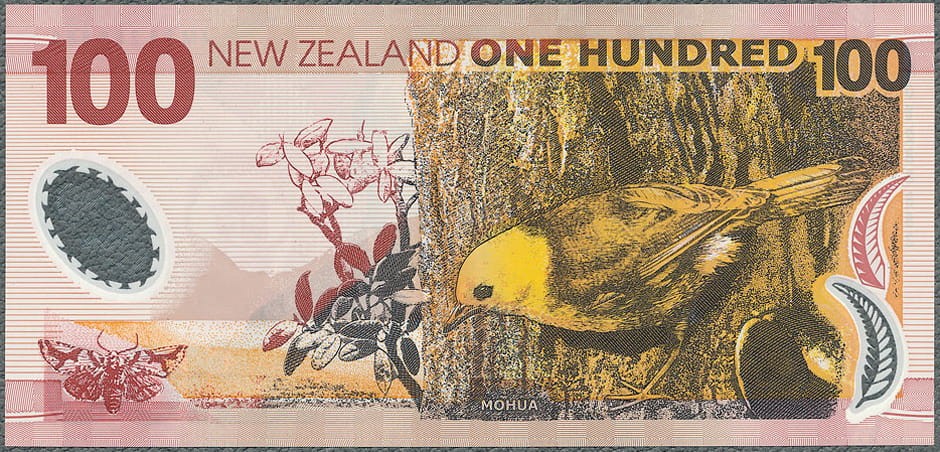 NZD100_06R.jpg