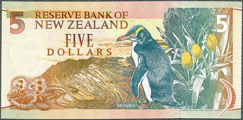 NZD5_92R.jpg