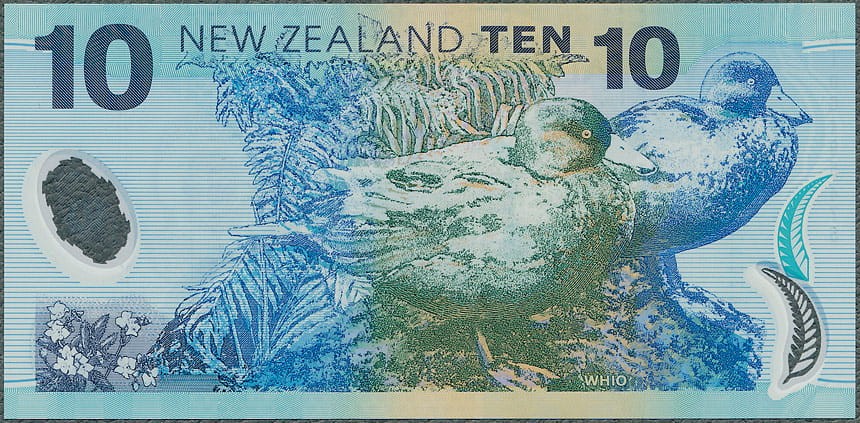 NZD10_06R.jpg