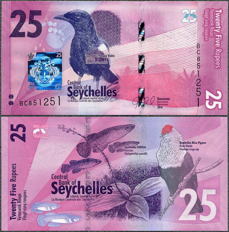 SYR25_16.jpg