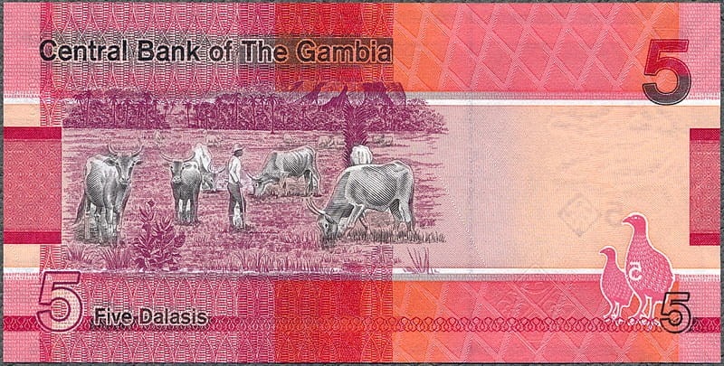GAD5_23R.jpg