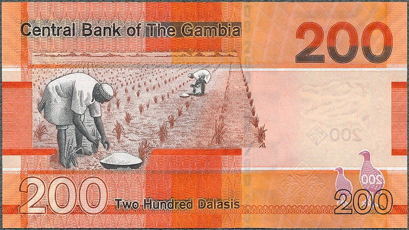 GAD200_23R.jpg