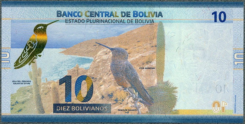 BOL10_18R.jpg