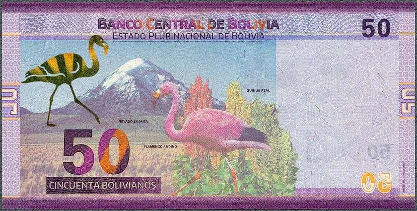 BOL50_18R.jpg