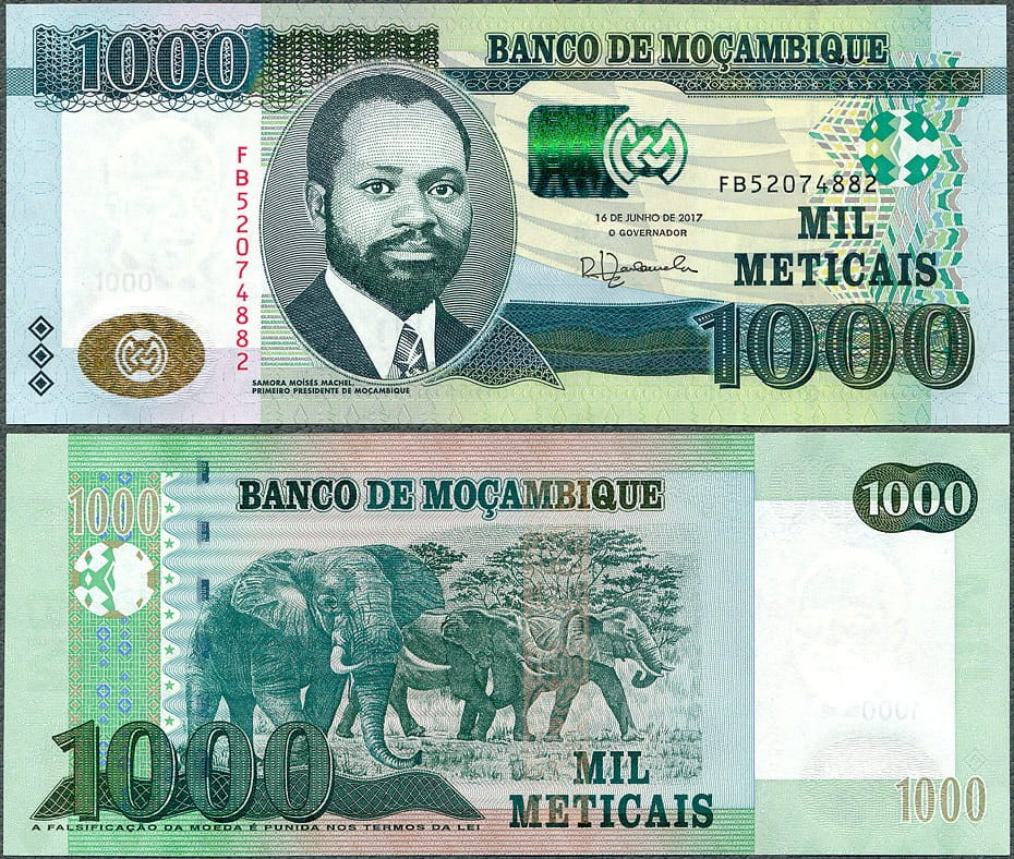 MZM1000_17.jpg
