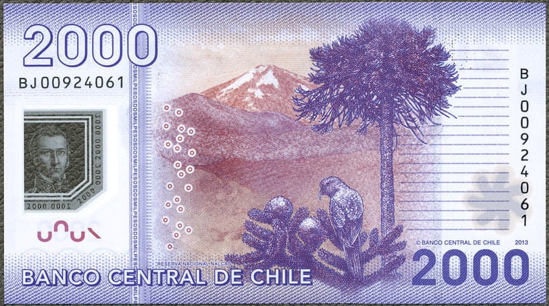 CHP2000_13R.jpg