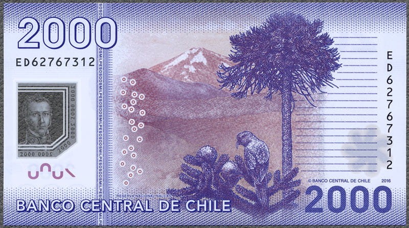 CHP2000_16R.jpg