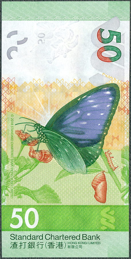 HKD50_20_SCB_R.jpg