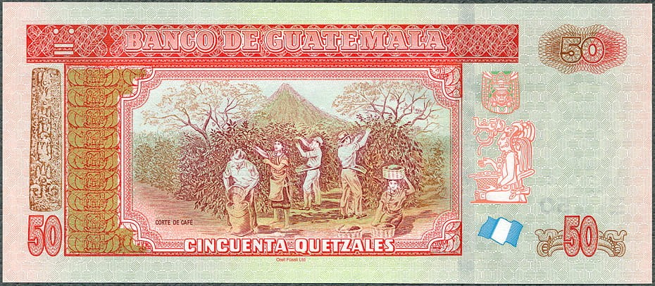 GUQ50_20R.jpg