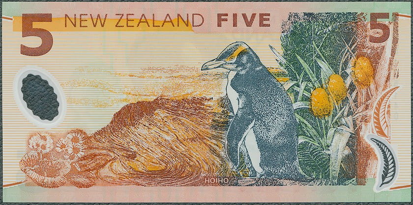NZD5_05R.jpg
