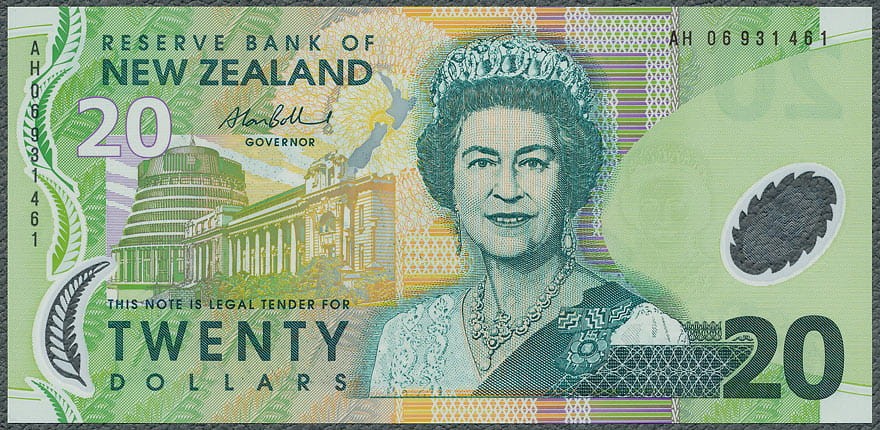 NZD20_06A.jpg