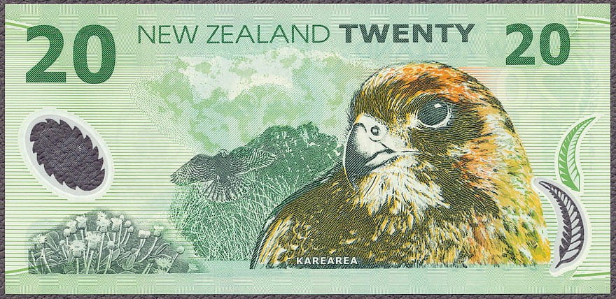 NZD20_06R.jpg
