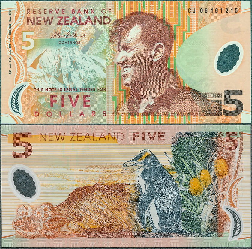NZD5_06.jpg