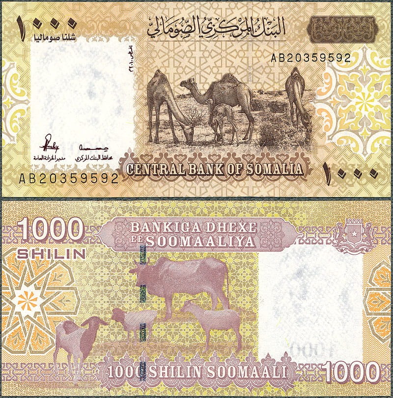 SMS1000_10.jpg