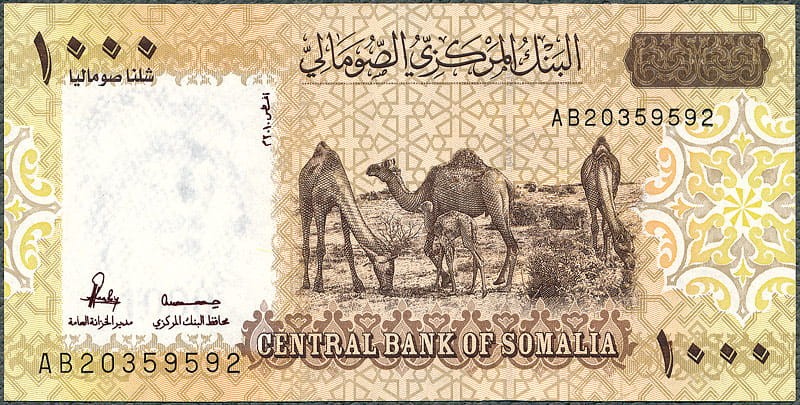 SMS1000_10A.jpg