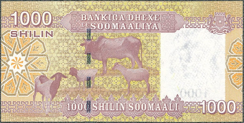 SMS1000_10R.jpg