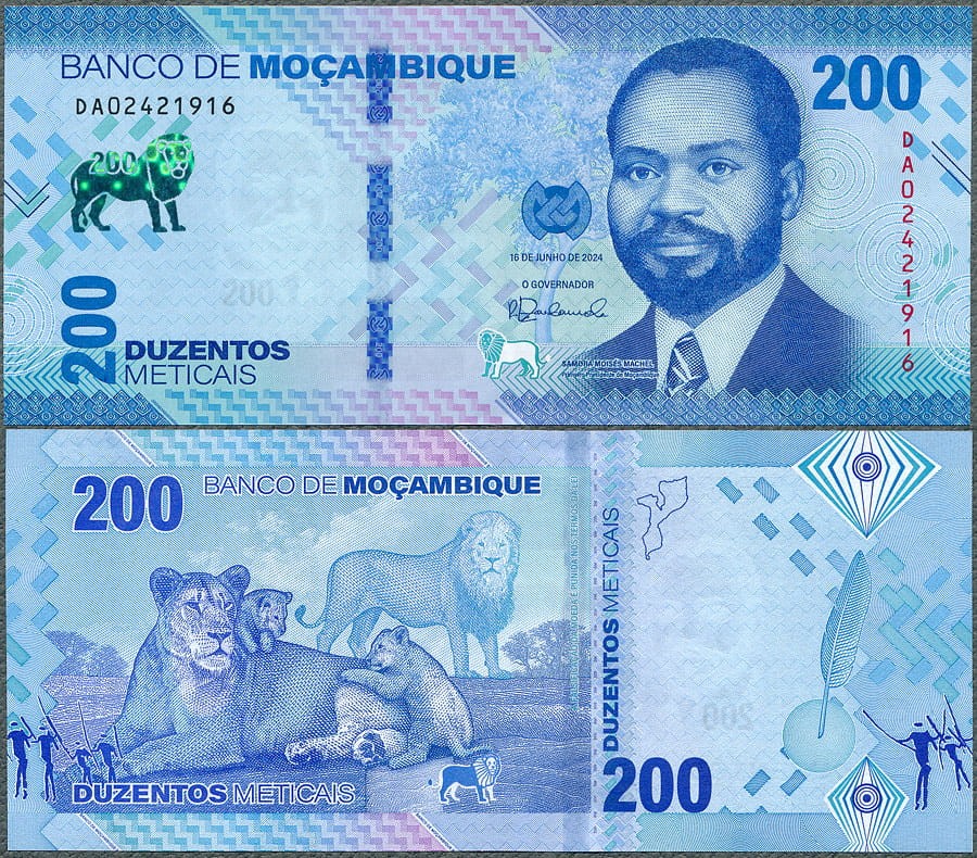 MZM200_24.jpg