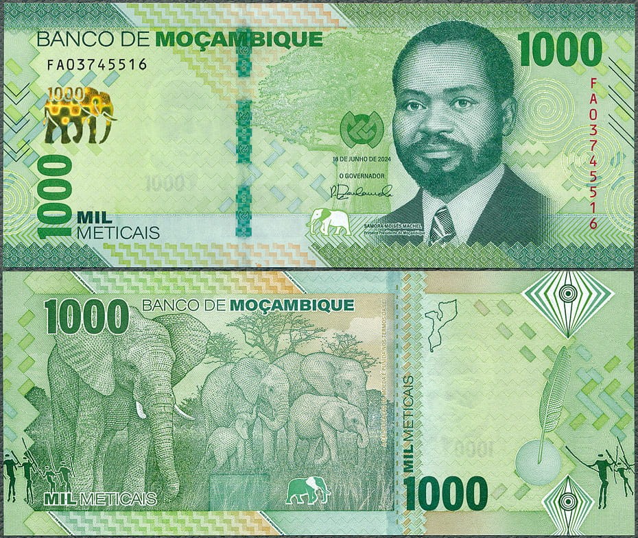 MZM1000_24.jpg