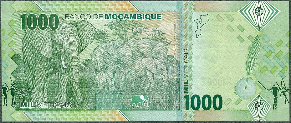 MZM1000_24R.jpg