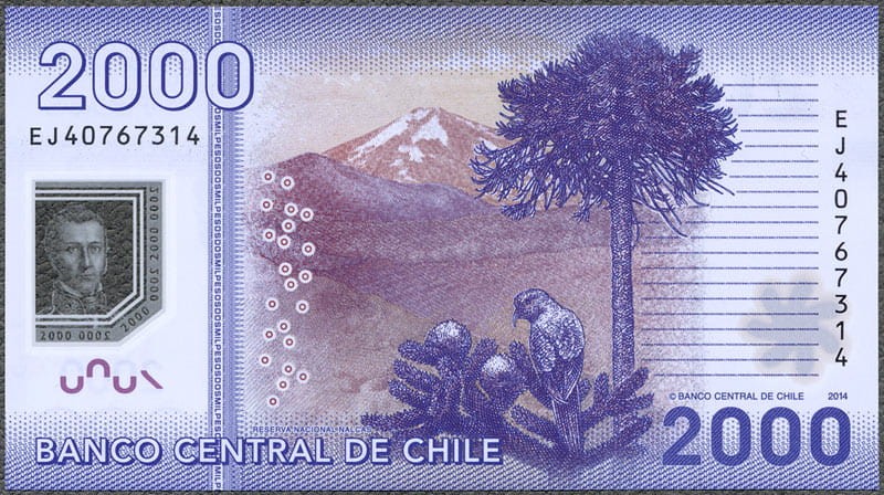 CHP2000_14R.jpg